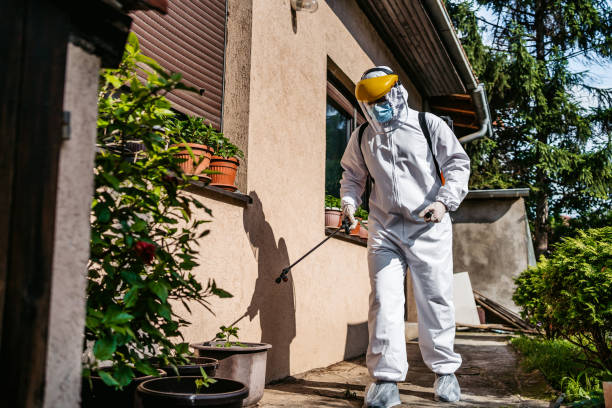 Best Cockroach Control Services  in Le Center, MN