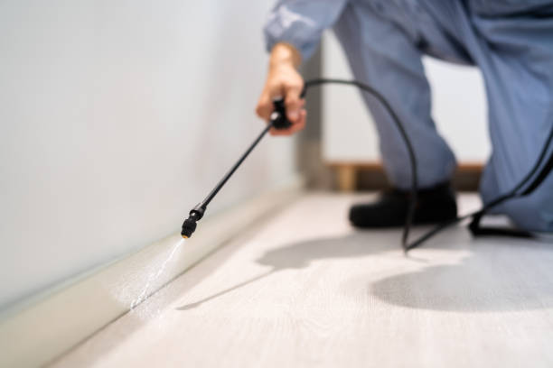 Best Flea Control Services  in Le Center, MN