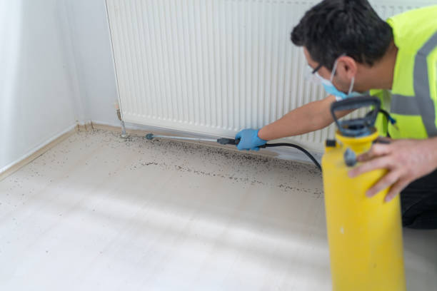 Best Pest Prevention Services  in Le Center, MN