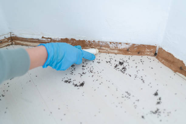 Best Best Pest Control Companies  in Le Center, MN